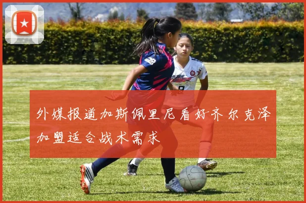 外媒报道加斯佩里尼看好齐尔克泽加盟适合战术需求
