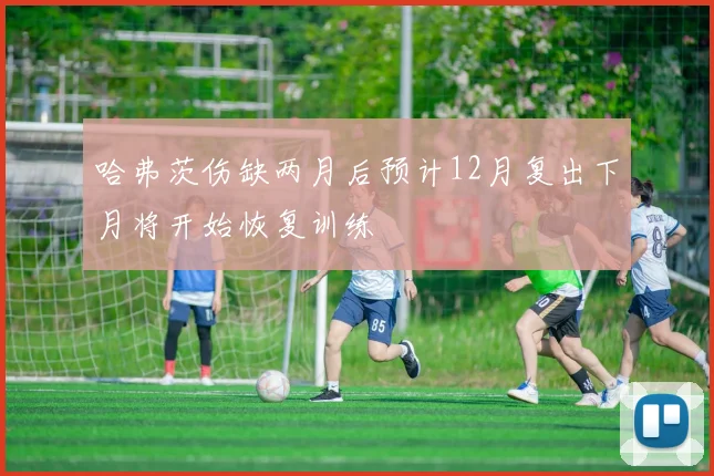 哈弗茨伤缺两月后预计12月复出下月将开始恢复训练