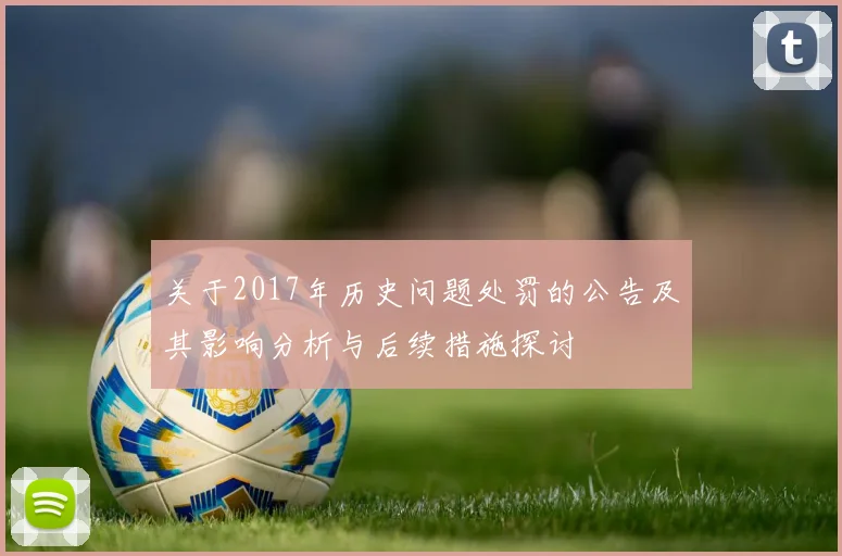 关于2017年历史问题处罚的公告及其影响分析与后续措施探讨